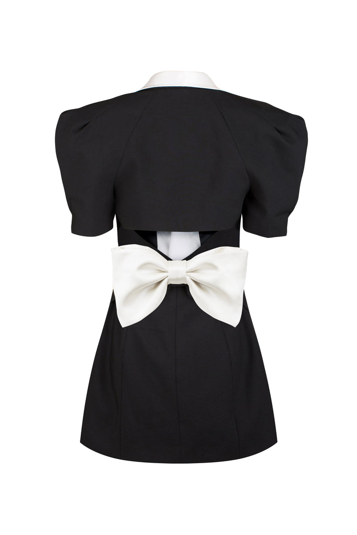 Leslie V-neck Backless Bowtie Mini Dress