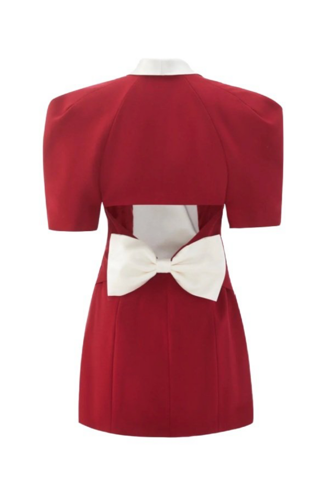 Leslie V-neck Backless Bowtie Mini Dress
