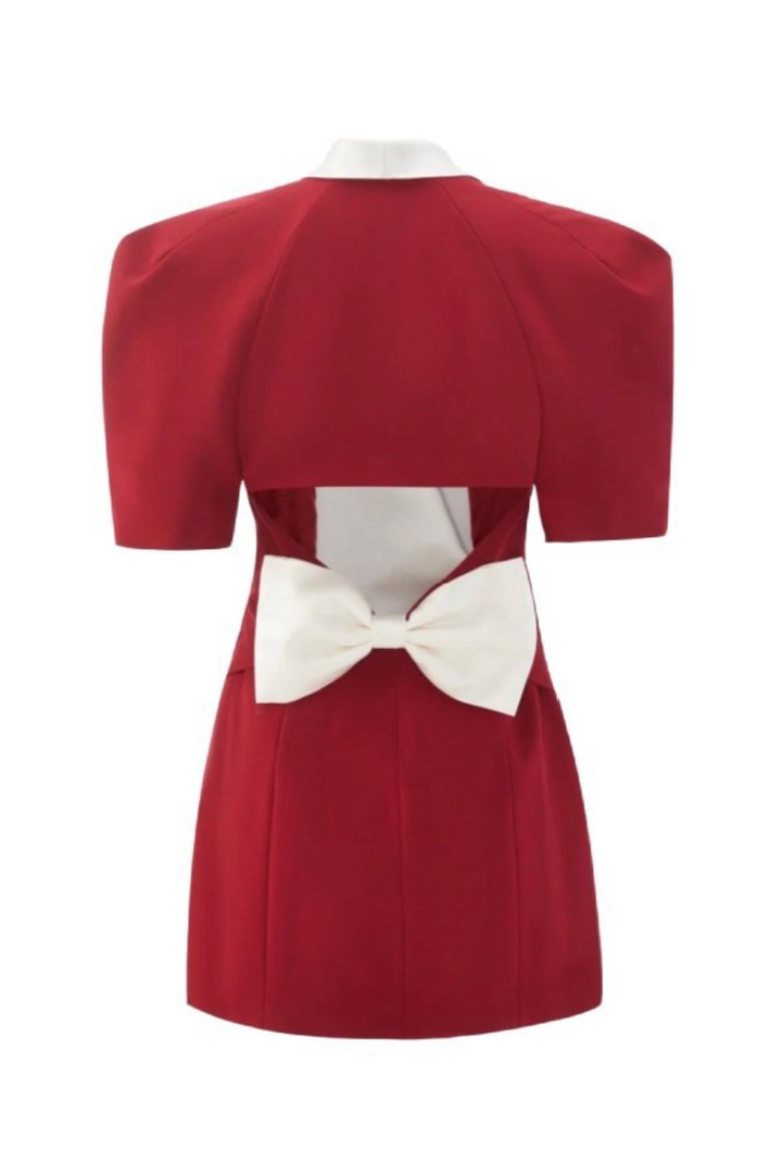 Leslie V-neck Backless Bowtie Mini Dress