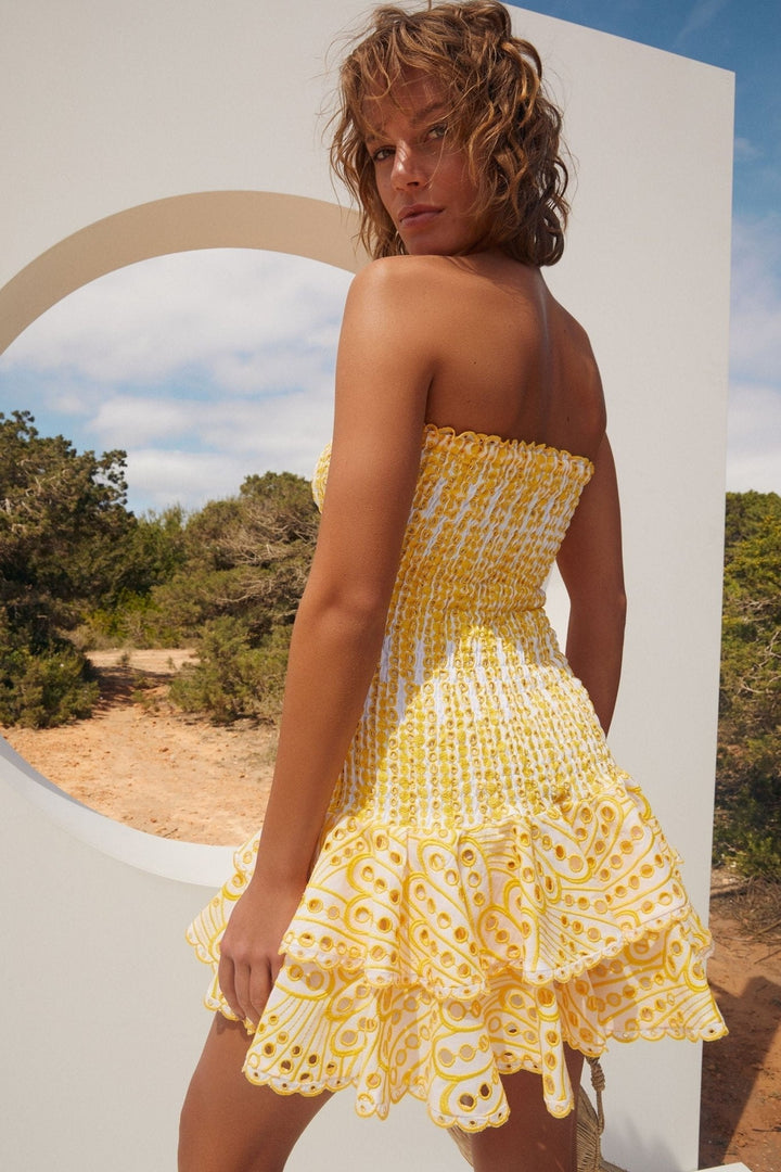Gina  Embroidered Lace Strapless Mini Bodycon Dress