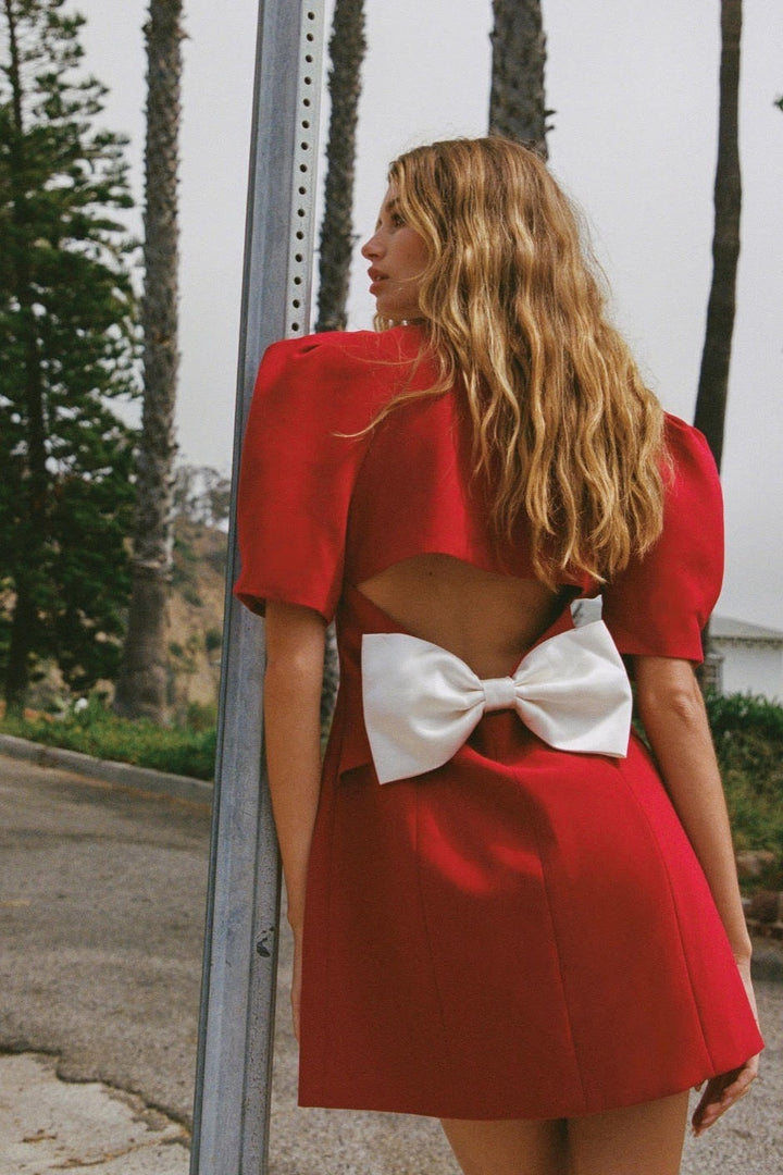 Leslie V-neck Backless Bowtie Mini Dress